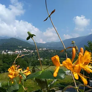https://la-tavernetta-del-riccio.it-lombardy.com