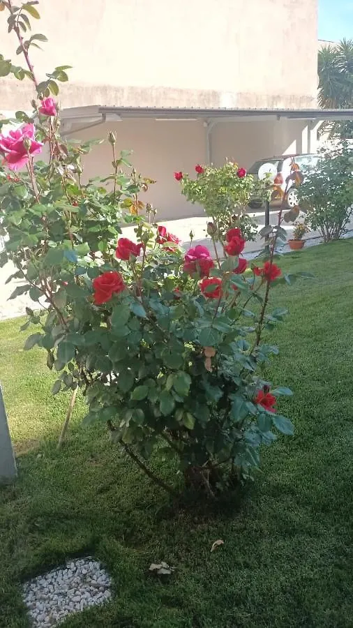 Casa Fiorita Hotel Assemini 0*,
